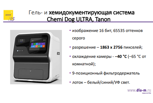 Всё необходимое для ПЦР и агарозного гель-электрофореза: современный взгляд на практику молекулярной биологии