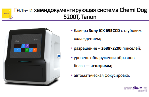 Всё необходимое для ПЦР и агарозного гель-электрофореза: современный взгляд на практику молекулярной биологии