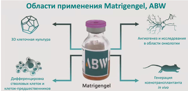 3D-культивирование: предлагаем комплексные решения от лабораторий до биопроизводства
