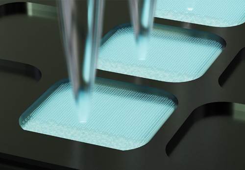 Система цифровой ПЦР D600 Digital PCR Analysis System, 5-канальная, Maccura, Китай