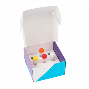 Набор реагентов для секвенирования ДНК по методу Сэнгера AMGene Dye v3.1, АМГен Бел