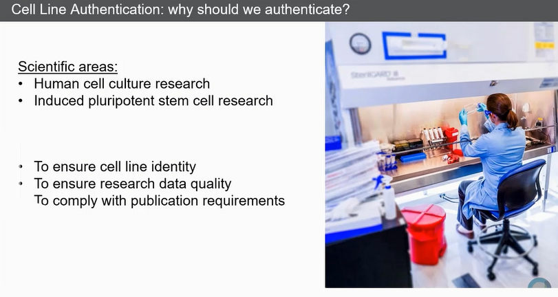 Интерес к капиллярному секвенированию