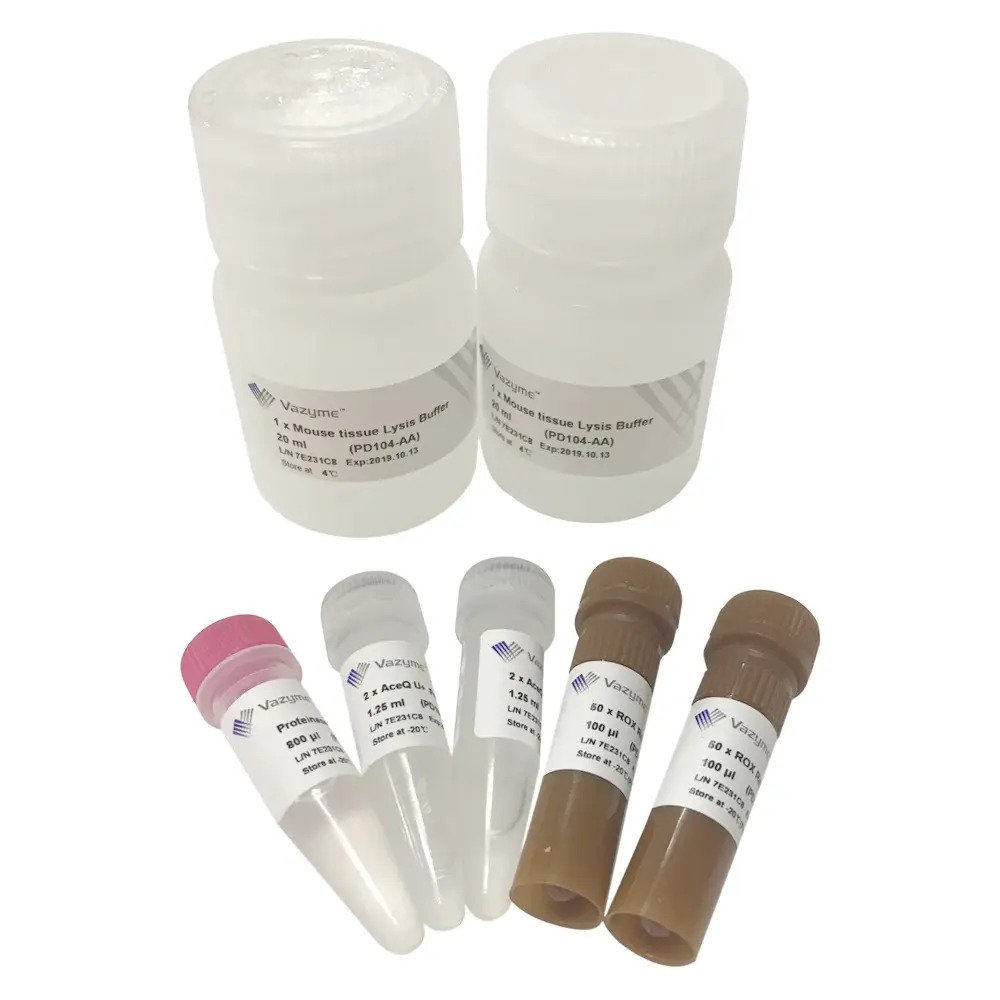 One Step U+ Probe Mouse Genotyping Kit PD104 – для быстрого генотипирования мышей, содержит dUTP и UDG (урацил-ДНК-гликозилаза) для уменьшения вероятности контаминации