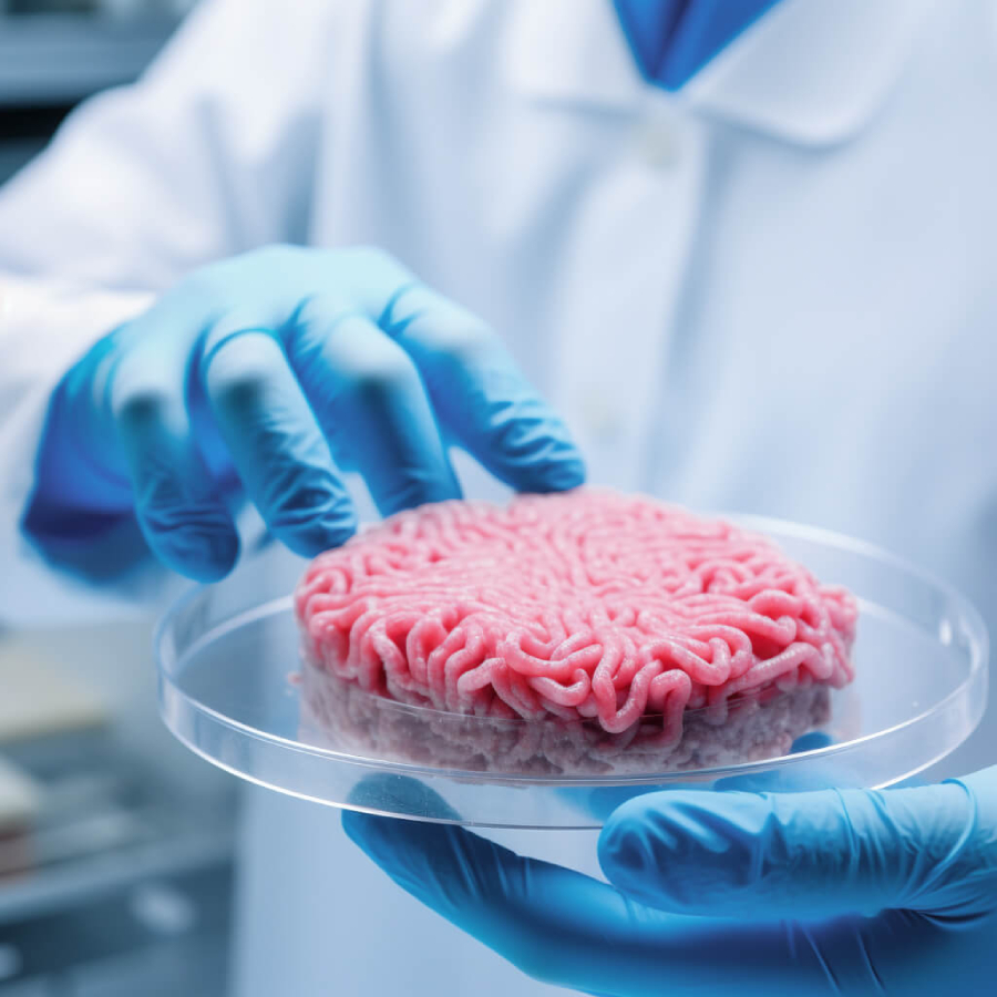 Продукты питания, выращенные на основе клеточных культур