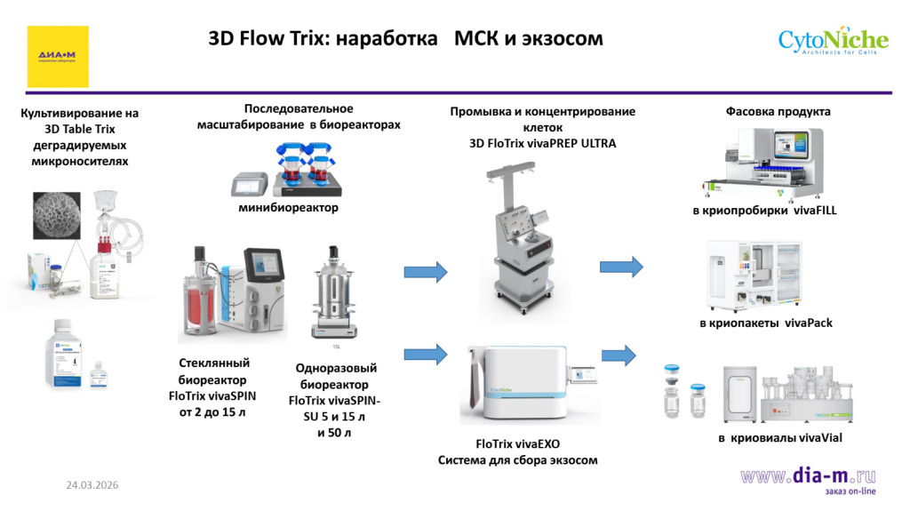 Масштабирование культивирования клеток