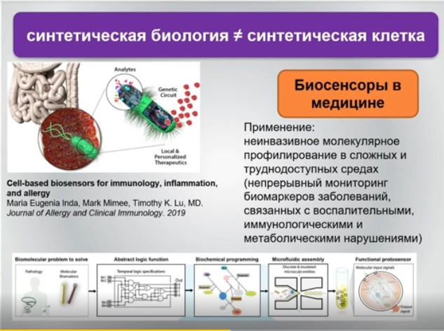 синтетическая биология и синтетическая клетка