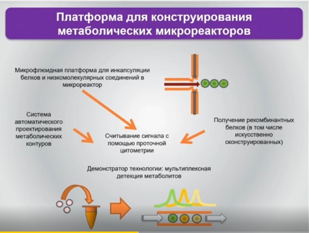 платформа для конструирования метаболических микрореакторов
