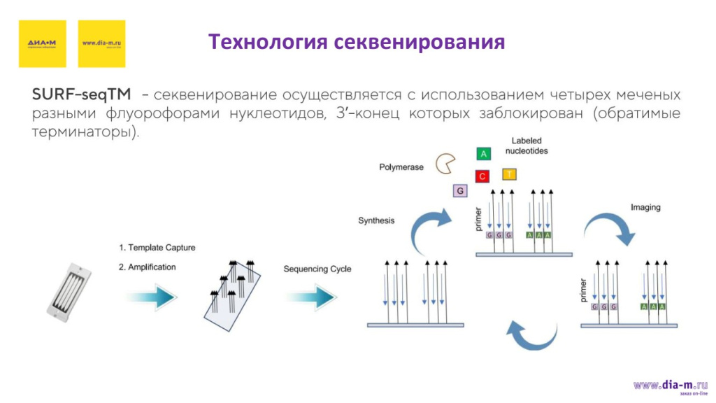 Технология секвенирования