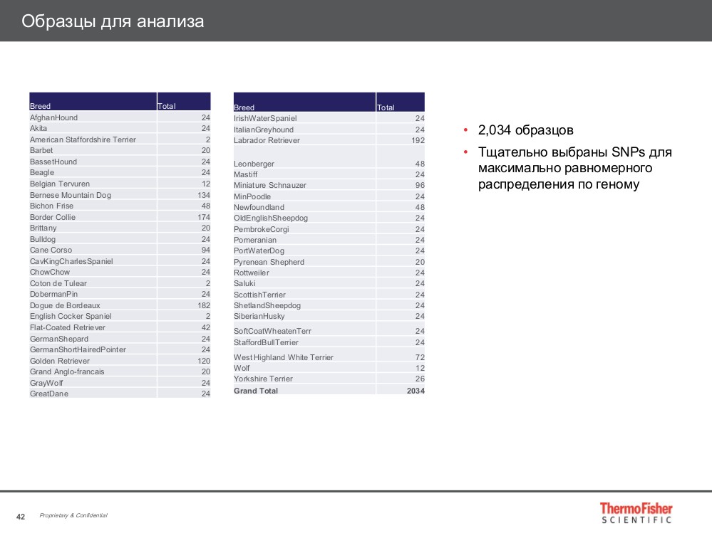 Образцы анализа