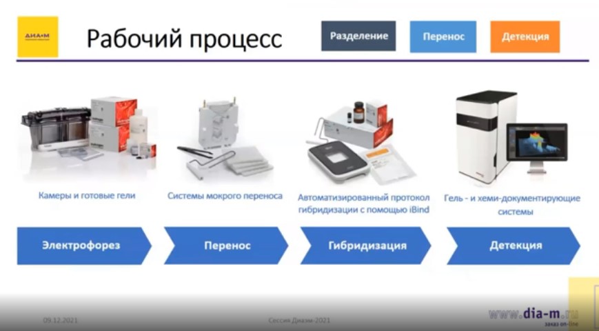 Рабочий процесс