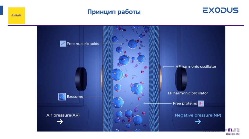 Принцип работы EXODUS