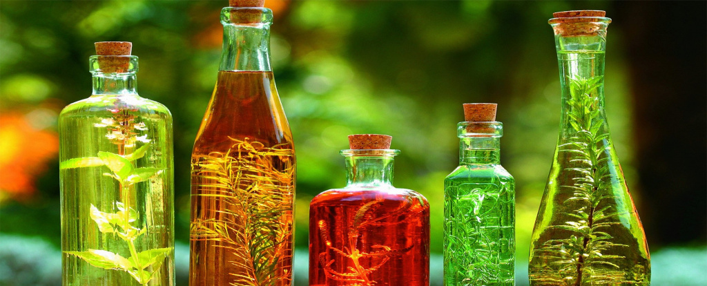 Использование экстрактов растений при создании лекарств