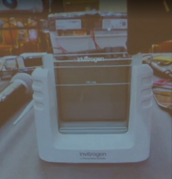 Заливка геля