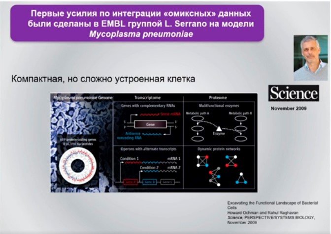 mycoplasma pneumoniae