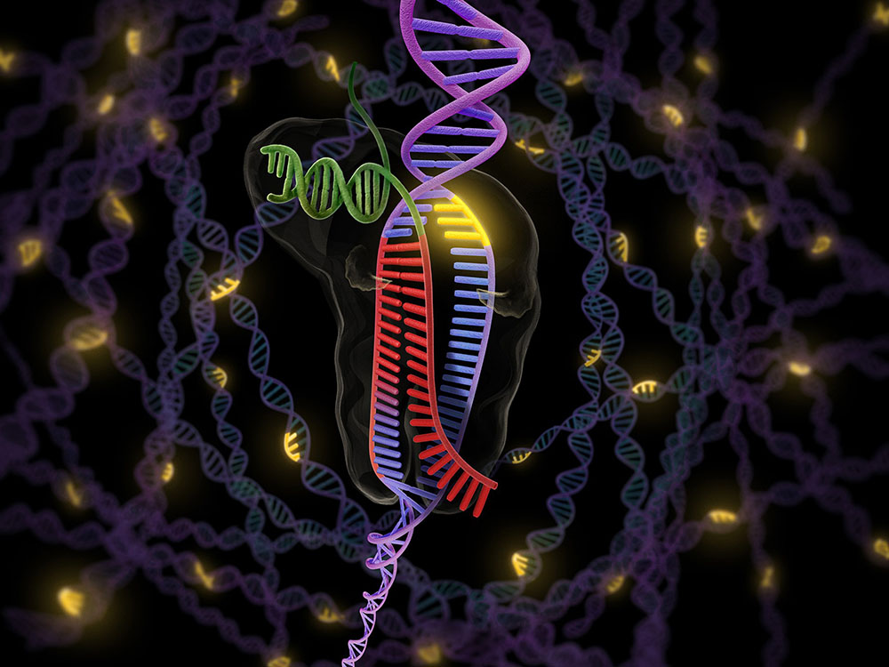Алфавит жизни