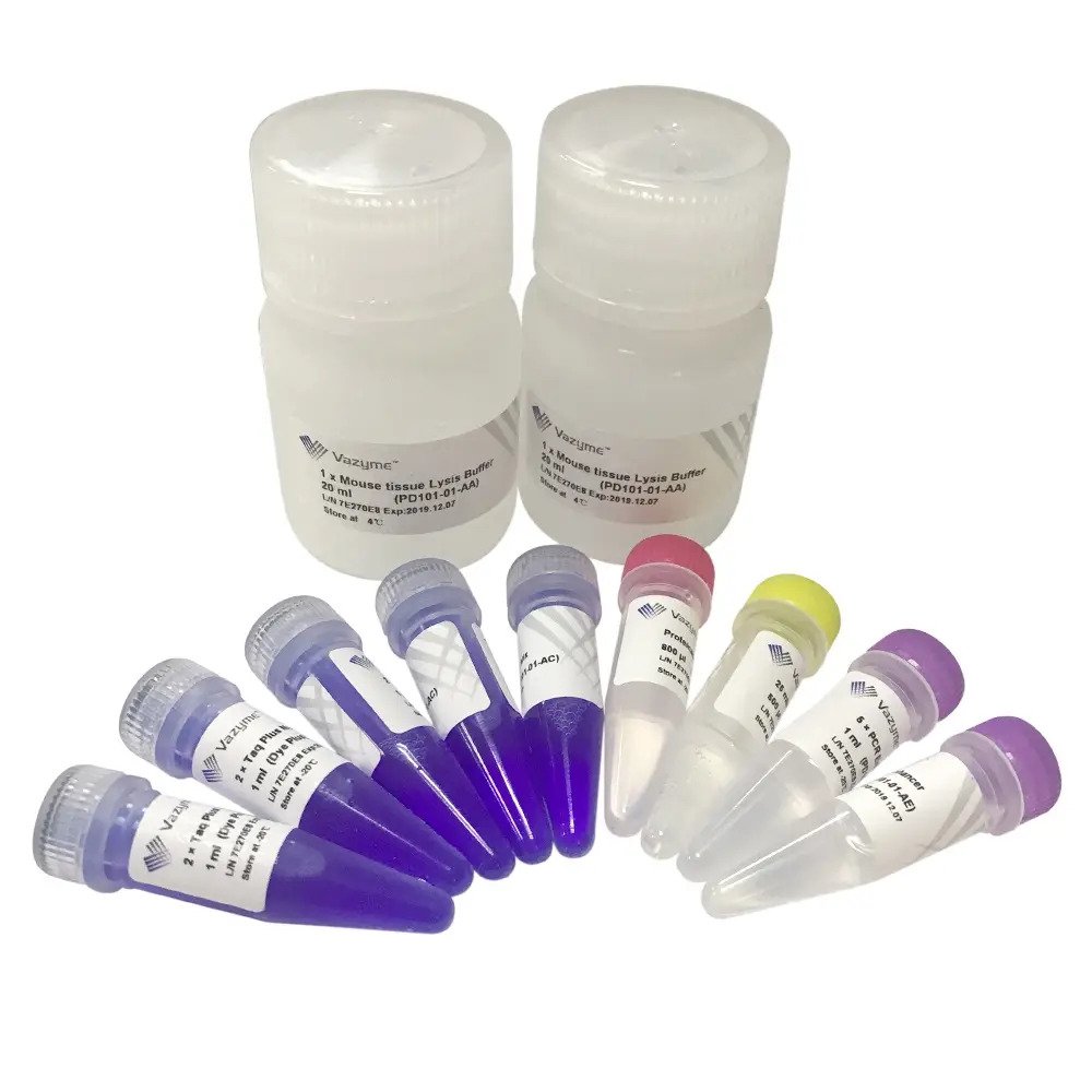 One Step Mouse Genotyping Kit PD101 – для быстрого генотипирования мышей