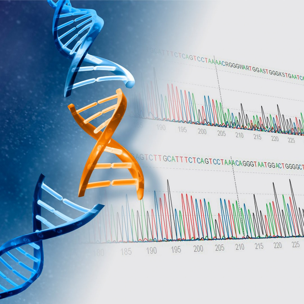 Фрагментный анализ
