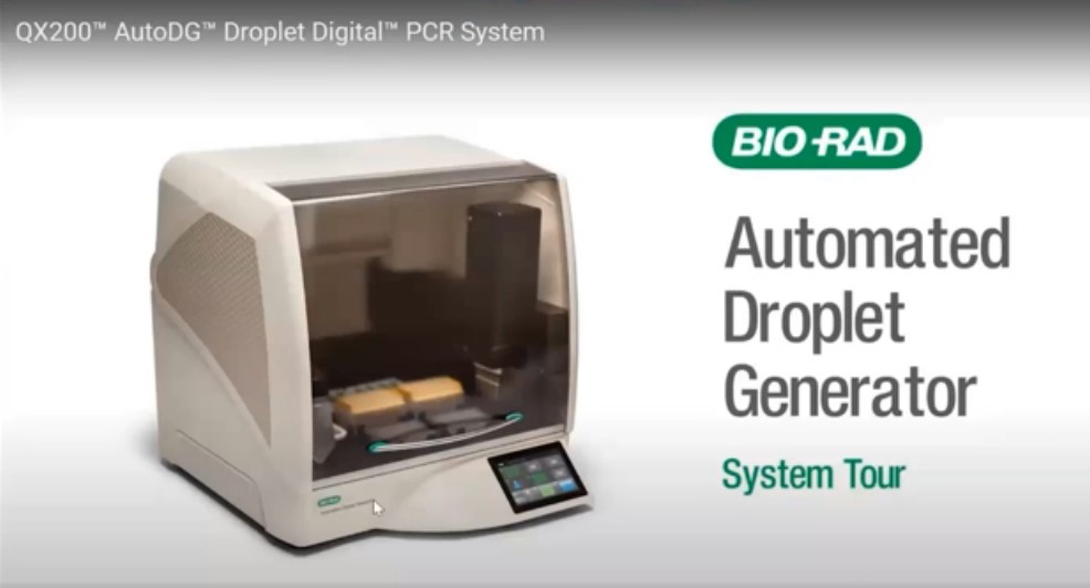 Как работает система Bio-Rad QX200 с наборами