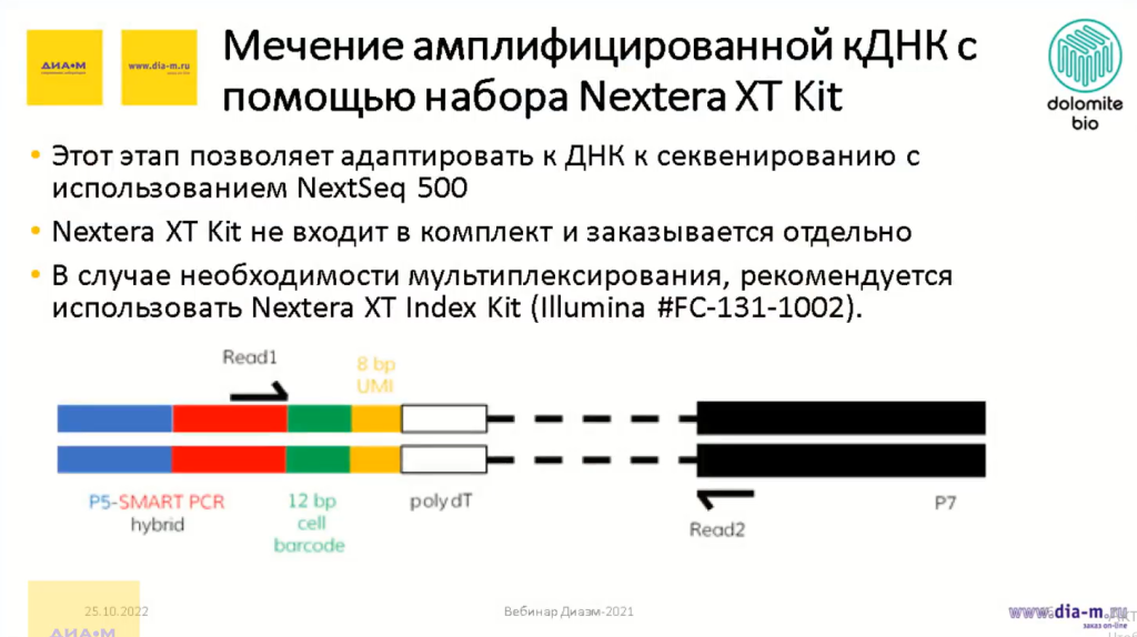 Мечение амплифицированной кДНК с помощью набора Nextera XT Kit