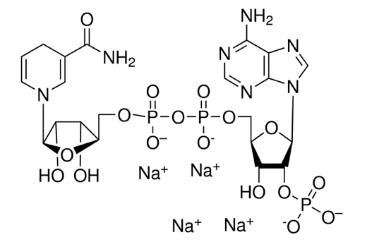 НАДФ-Н (Никотинамид-β-аденин динуклеотид фосфат, NADPH) тетранатриевая соль, не менее 95%, Импорт