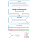 Принципиальная схема работы набора VAHTS Universal DNA Library Prep Kit for Illumina