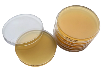 Контактные чашки Петри 90 мм с триптон-соевым агаром с лецитином, гистидином и тиосульфатом натрия, Tween 80, Россия