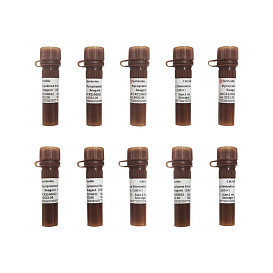 Реагент для удаления микоплазмы, 100x, 10x1 мл, G4006-10ML, Servicebio