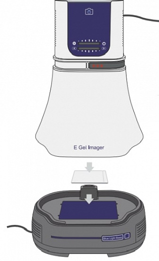 Гельдокументирующая система E-Gel Camera Hood Kit, 1,3 Мп, без основания, универсальный фильтр Фото 2