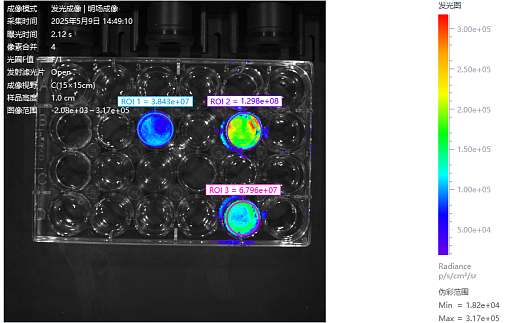 Примеры визуализации флуоресценции разных объектов исследования