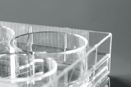 Планшеты культуральные (крупный план)