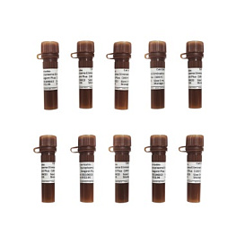 Реагент для удаления микоплазм Reagent Plus, 100×, 10×1 мл, Servicebio