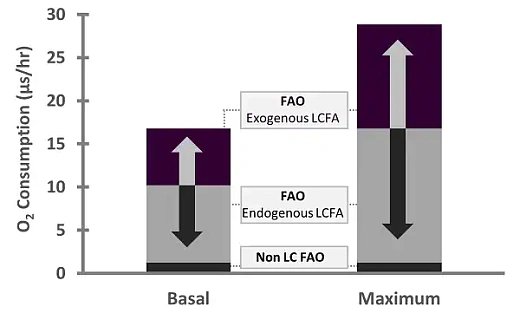 Набор для анализа полного окисления жирных кислот, 55 тестов, Abcam