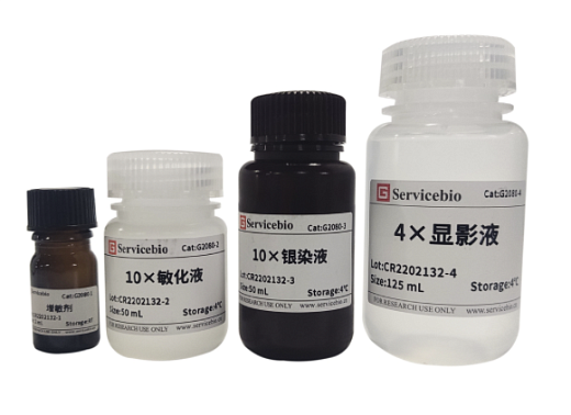 Набор Silver Stain kit for Protein, 25 реакций