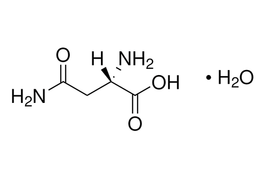 Аспарагин-L моногидрат, 99,0-101,0 %, pure EP pharma grade, 100 г, NeoFroxx, Германия