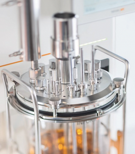 Крышка сосуда биореактора Minifors 2, Infors