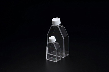 Флаконы культуральные 75 см², 3D, с низкой адгезией, Cell Floater, 1 уп./3 шт., SPL