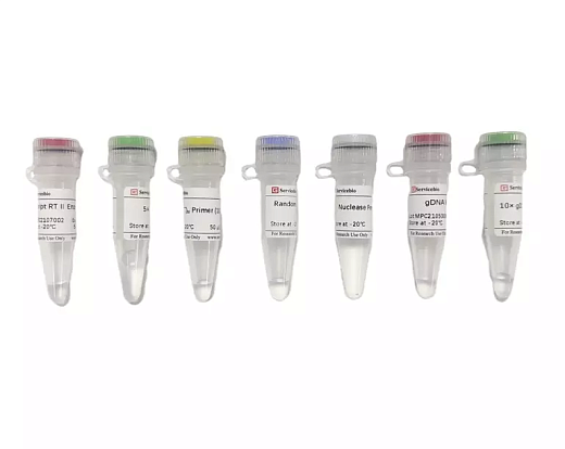 Набор для синтеза первой цепи кДНК SweScript RT II (с реагентом для удаления ДНК), Servicebio, Китай