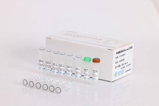 Transposase-based Barcode Kit, 6 реакций, Polyseq Biotech