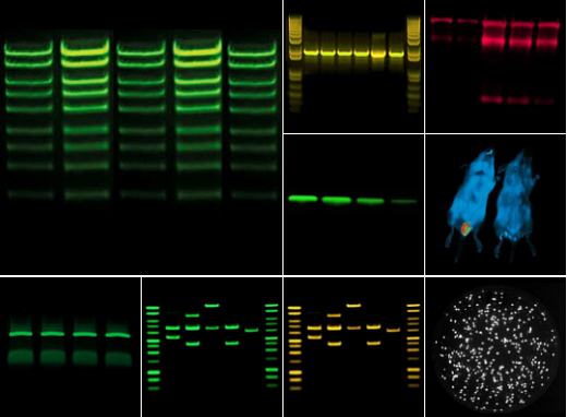 Гель- и хемидокументирующая система Fusion-FX6.Edge V.070, 6,3 Мп, охлаждение до -30 °С, автофокус, без трансиллюминатора, без фильтра Фото 3