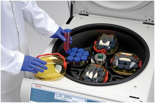 Центрифуга до 15200 об/мин, 25314 g, с охлаждением, напольная, 4×750 мл, без ротора, SL40FR Фото 2