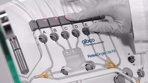 Загрузка центрифуги проточной CTS Rotea, для сепарации клеток, Thermo FS