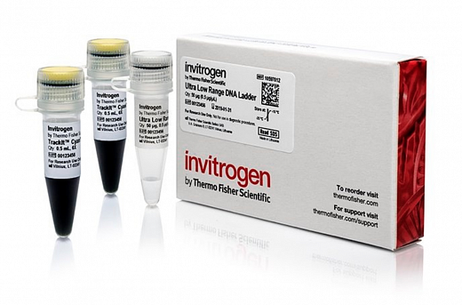 Маркер длин ДНК, Ultra Low Range, 9 фрагментов от 10 п.н. до 300 п.н., 0,5 мкг/мкл Фото 2