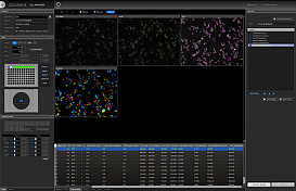 Система многопараметрического анализа клеток Celena X, до 4 каналов детекции, Logos Biosystems (интерфейс)