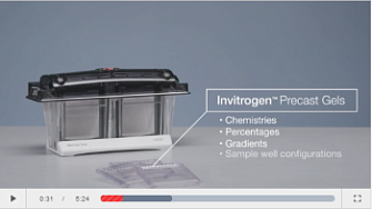 Камера Mini Gel Tank,  Thermo FS, англ., 2020 г.