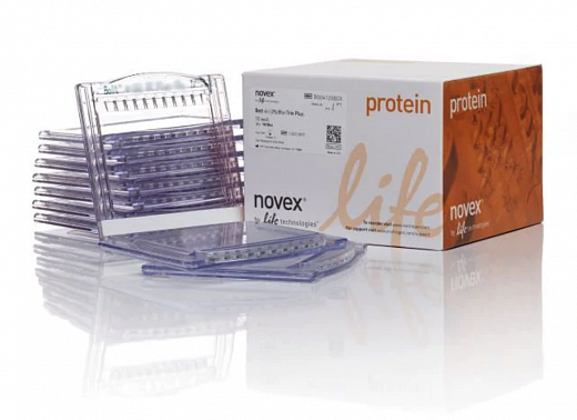 Гель полиакриламидный Bolt Bis-Tris Mini Protein Gel, 8 х 8 см, 10 лунок, 8 %, 10 шт./уп., Thermo FS