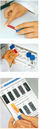 Микробиологические экспресс-тесты для определения  КМАФАнМ (ОМЧ) / E.coli, Envirocheck C, 10 шт./уп. Фото 1
