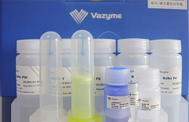 Набор для макси выделения плазмидной ДНК свободной от эндотоксинов, FastPure EndoFree Plasmid Maxi, Vazyme, Китай