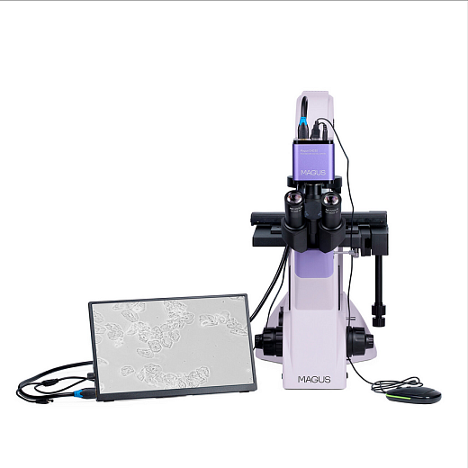Микроскоп биологический инвертированный цифровой, MAGUS Bio VD350 LCD (с подключенным монитором и камерой)