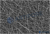 Биосовместимая нановолокнистая подложка на основе гидрогеля NanoFibers, толщина подложки 30 мкм