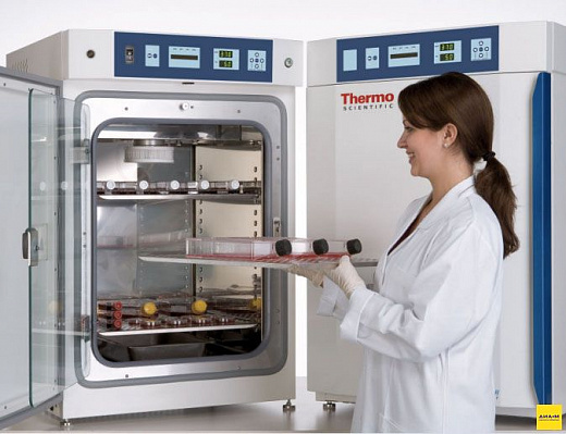 CO₂-инкубатор, 184 л, водяная рубашка, ИК-датчик, 8000 WJ 3423 Фото 1